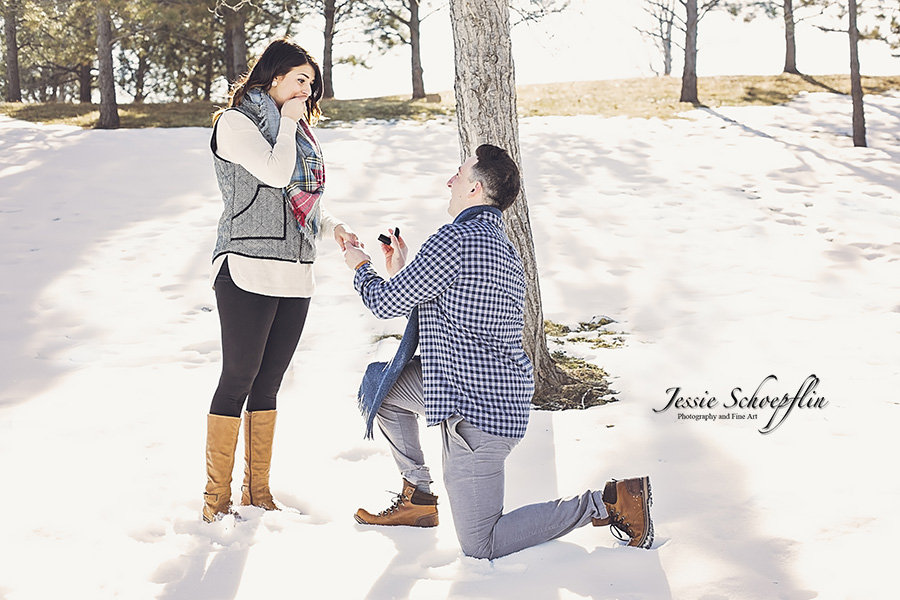 Proposal in winter snow