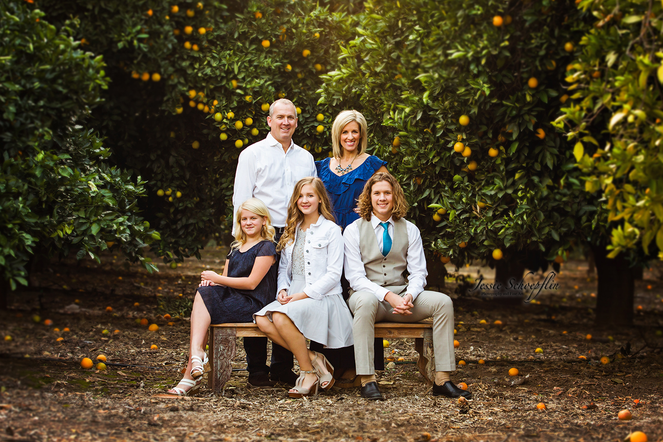 4-family-sitting-on-bench-in-orange-grove